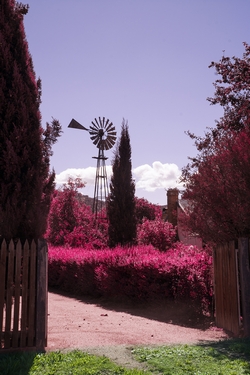 A WindmillPhotography by David Willis